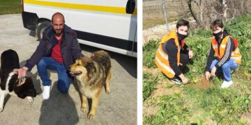 Δενδροφυτεύσεις και δράσεις ευαισθητοποίησης για τα αδέσποτα από τον Δήμο Εορδαίας-Φωτογραφίες