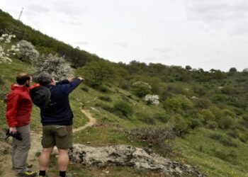 Λέχοβο: Τα μονοπάτια της ειρήνης (paths of peace) -Μια πολύ ωραία πρόταση για φυσιολατρικό τουρισμό