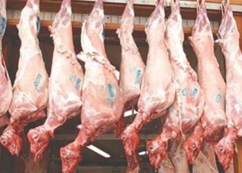 Πτολεμαΐδα: Έλλειψη σε αμνοερίφια και «τσιμπημένες» οι τιμές – Πόσο πωλείται αρνί – κατσικάκι-Τι συμβουλεύουν οι κρεοπώλες