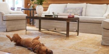 Ο Peanut είναι ο νέος τετράποδος ένοικος στο Μαξίμου