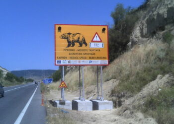 Αποκεντρωμένη Διοίκηση Ηπείρου- Δυτ. Μακεδονίας: Τοποθέτηση αποτρεπτικών συστημάτων ατυχημάτων από διελεύσεις άγριας πανίδας