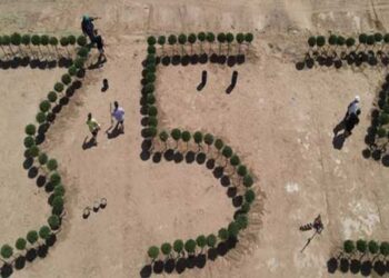 Θεσσαλονίκη: Με κυπαρίσσια σχηματίζουν τον αριθμό των θυμάτων της Γενοκτονίας των Ποντίων (ΒΙΝΤΕΟ & ΦΩΤΟ)