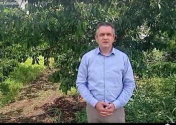 Λύση στο πρόβλημα της αποζημίωσης των παγετόπληκτων δένδρων που δεν καλυπτόταν τυπικά από τον κανονισμό του ΕΛΓΑ- Δηλώσεις Κασαπίδη (βίντεο)