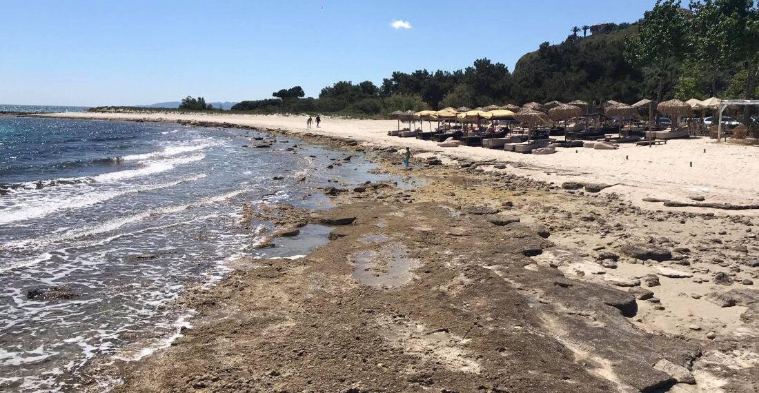 Χαλκιδική: Πήγαν για μπάνιο αλλά η θάλασσα… έλειπε – Επιμένει η άμπωτη (ΒΙΝΤΕΟ & ΦΩΤΟ)