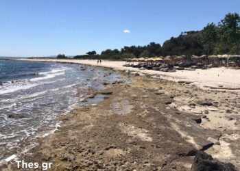 Χαλκιδική: Πήγαν για μπάνιο αλλά η θάλασσα… έλειπε – Επιμένει η άμπωτη (ΒΙΝΤΕΟ & ΦΩΤΟ)