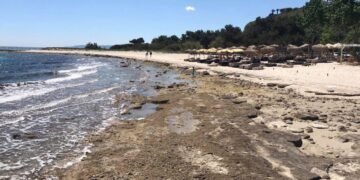 Χαλκιδική: Πήγαν για μπάνιο αλλά η θάλασσα… έλειπε – Επιμένει η άμπωτη (ΒΙΝΤΕΟ & ΦΩΤΟ)