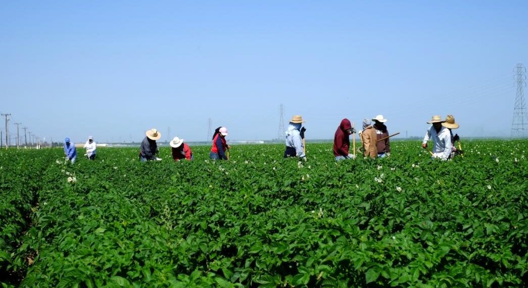 Επιστολή προς τον Υπ. Αγρ. Ανάπτυξης και τροφίμων Σ.Λιβανό των Συνεταιριστικών και Αγροτικών Συλλογικών Φορέων Π.Ε Καστοριάς & Π.Ε Φλώρινας, , σχετικά με το πρόβλημα εισόδου εργατών του πρωτογενούς τομέα