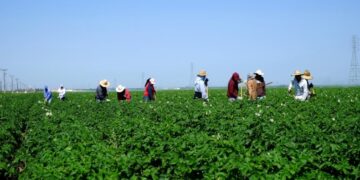 Επιστολή προς τον Υπ. Αγρ. Ανάπτυξης και τροφίμων Σ.Λιβανό των Συνεταιριστικών και Αγροτικών Συλλογικών Φορέων Π.Ε Καστοριάς & Π.Ε Φλώρινας, , σχετικά με το πρόβλημα εισόδου εργατών του πρωτογενούς τομέα