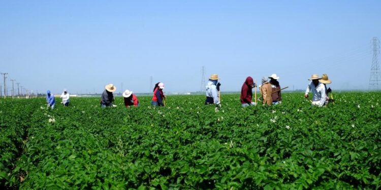 Επιστολή προς τον Υπ. Αγρ. Ανάπτυξης και τροφίμων Σ.Λιβανό των Συνεταιριστικών και Αγροτικών Συλλογικών Φορέων Π.Ε Καστοριάς & Π.Ε Φλώρινας, , σχετικά με το πρόβλημα εισόδου εργατών του πρωτογενούς τομέα