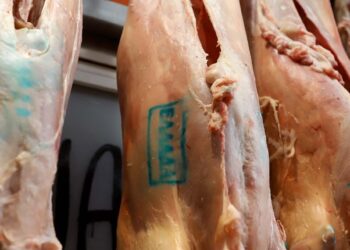 6.673 έλεγχοι έγιναν την περίοδο του Πάσχα από το ΥΠΑΑΤ με στόχο την αποτροπή ελληνοποιήσεων αμνοεριφίων – Διαπιστώθηκαν 219 παραβάσεις