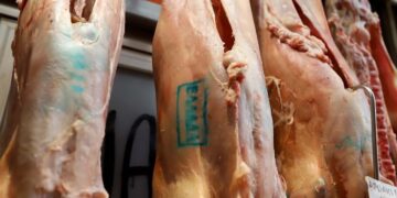 6.673 έλεγχοι έγιναν την περίοδο του Πάσχα από το ΥΠΑΑΤ με στόχο την αποτροπή ελληνοποιήσεων αμνοεριφίων – Διαπιστώθηκαν 219 παραβάσεις