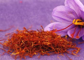 Υποστήριξη της επέκτασης της παραγωγής του Κρόκου Κοζάνης ΠΟΠ