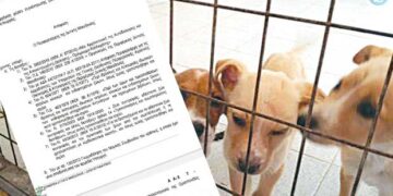 «Σφραγίζονται» δύο παράνομα καταφύγια ζώων στο «Κουρί» και το Ανατολικό Εορδαίας –	Με απόφαση της Δ/νσης Κτηνιατρικής, μετά από καταγγελία της Ομοσπονδίας Ζωοφιλικών Σωματείων Ελλάδας