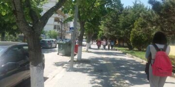 Επιτέλους “ΑΝΑΚΩΧΉ” …με τον ιό !!! (της Κούλας Πουλασιχίδου)