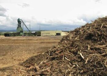 Έργο aGROWchain: Πώς οι εφοδιαστικές αλυσίδες από αγροτικά υπολείμματα παράγουν βιώσιμη ανάπτυξη και υποστηρίζουν τη θέρμανση περιοχών   – Ανοιχτή ημερίδα παρουσίασης των αποτελεσμάτων του, την Πέμπτη 20/5