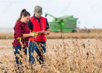«Αγροκυκλικότητα: Εφαρμογές στη Νέα Γεωργία»- Το νέο πρόγραμμα κατάρτισης στο Αγροδιατροφικό τομέα για τη νέα γενιά στη Δυτική Μακεδονία