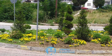 Χιλιάδες πολύχρωμα λουλούδια ομόρφυναν την πόλη της Φλώρινας