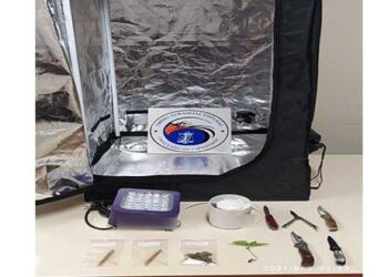 Συνελήφθησαν 2 άντρες στην Πτολεμαΐδα για κατοχή δενδρύλλιου κάνναβης καθώς και ντουλάπας ανάπτυξης φυτών κάνναβης εσωτερικού χώρου