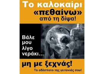 Τα αδέσποτα διψάνε όπως και εμείς-Βάζουμε ένα μπολ με νερό έξω από τα σπίτια μας