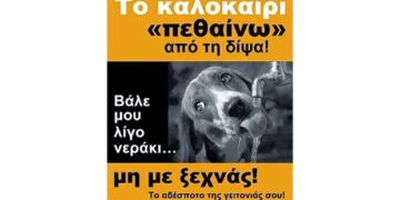 Τα αδέσποτα διψάνε όπως και εμείς-Βάζουμε ένα μπολ με νερό έξω από τα σπίτια μας