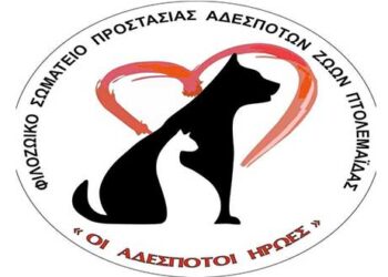 Ασυνείδητοι πέταξαν νεογέννητα κουτάβια μέσα σε σακκούλα- Διαμαρτυρία του Φιλοζ. Σωματείου “Αδέσποτοι ήρωες”