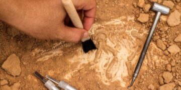 Εορδαία: Το χωράφι που ίσως κρύβει αρχαίους «θησαυρούς»