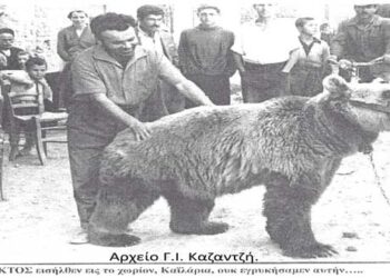 Το μουσικό-χορευτικό συγκρότημα της “ΑΡΚΟΥΔΑΣ” στην άνω Πτολεμαΐδα το 1960 – Από τη στήλη του κ. Γ. Καζαντζή στον Παλμό 16/06/2021