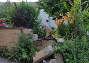 Νέο επικίνδυνο περιστατικό με αρκούδα… αυτή τη φορά στη Βασιλειάδα – Παραλίγο τετ α τετ με παιδάκι