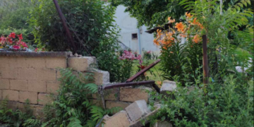 Νέο επικίνδυνο περιστατικό με αρκούδα… αυτή τη φορά στη Βασιλειάδα – Παραλίγο τετ α τετ με παιδάκι