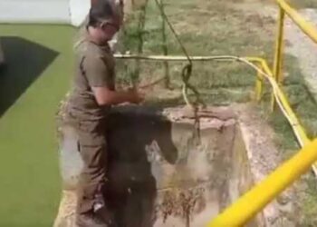 Καστοριά: Απεγκλωβισμός και διάσωση φιδιού (βίντεο)