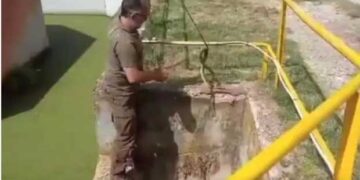 Καστοριά: Απεγκλωβισμός και διάσωση φιδιού (βίντεο)