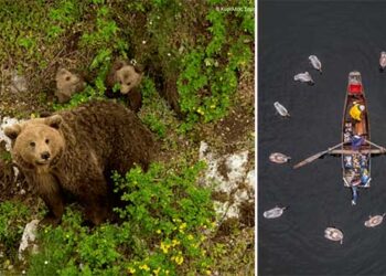 Η ομορφιά των ελληνικών περιοχών Natura 2000 σε 40 εντυπωσιακές φωτογραφίες – Ξεχωρίζει η βραβευμένη φωτογραφία του Αργύρη Καραμούζα