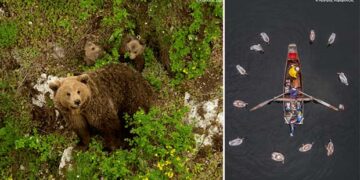 Η ομορφιά των ελληνικών περιοχών Natura 2000 σε 40 εντυπωσιακές φωτογραφίες – Ξεχωρίζει η βραβευμένη φωτογραφία του Αργύρη Καραμούζα