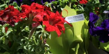 Μαθητές του 5ου Δημοτικού Πτολεμαΐδας υποδέχθηκε στους χώρους του το Κέντρο Περιβάλλοντος, με αφορμή την Παγκόσμια Ημέρα Περιβάλλοντος