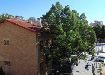 Δήμος Γρεβενών: Με “πράσινο” αποτύπωμα και το Παλιό Δασαρχείο-“Έκλεισαν” οι προσφορές για την ενεργειακή αναβάθμιση του κτιρίου