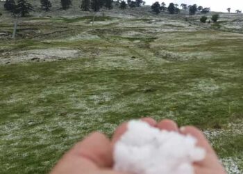 Βασιλίτσα: Άσπρισε, έστω και για λίγο, από το χαλάζι