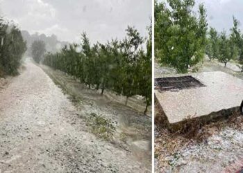 Άσπρισε από το χαλάζι το Βελβεντό – Ακόμη ένα χτύπημα στις καλλιέργειες της περιοχής