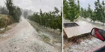 Άσπρισε από το χαλάζι το Βελβεντό – Ακόμη ένα χτύπημα στις καλλιέργειες της περιοχής