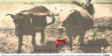 Σκηνογραφία της Γεωργοκτηνοτροφικής Εορδαίας το 1960- Από τη στήλη του κ. Γ. Καζαντζή στον Παλμό 09/06/2021