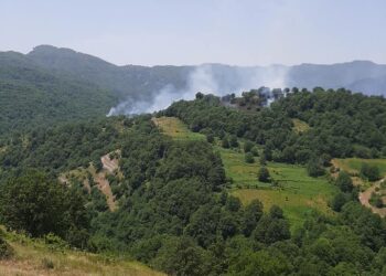 Ελικόπτερο της Πυροσβεστικής έκανε ρίψεις στη φωτιά σε δασική έκταση στον Αυγερινό Βοϊου- Γέμισε από το φράγμα της Πραμόριτσας