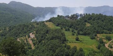 Ελικόπτερο της Πυροσβεστικής έκανε ρίψεις στη φωτιά σε δασική έκταση στον Αυγερινό Βοϊου- Γέμισε από το φράγμα της Πραμόριτσας