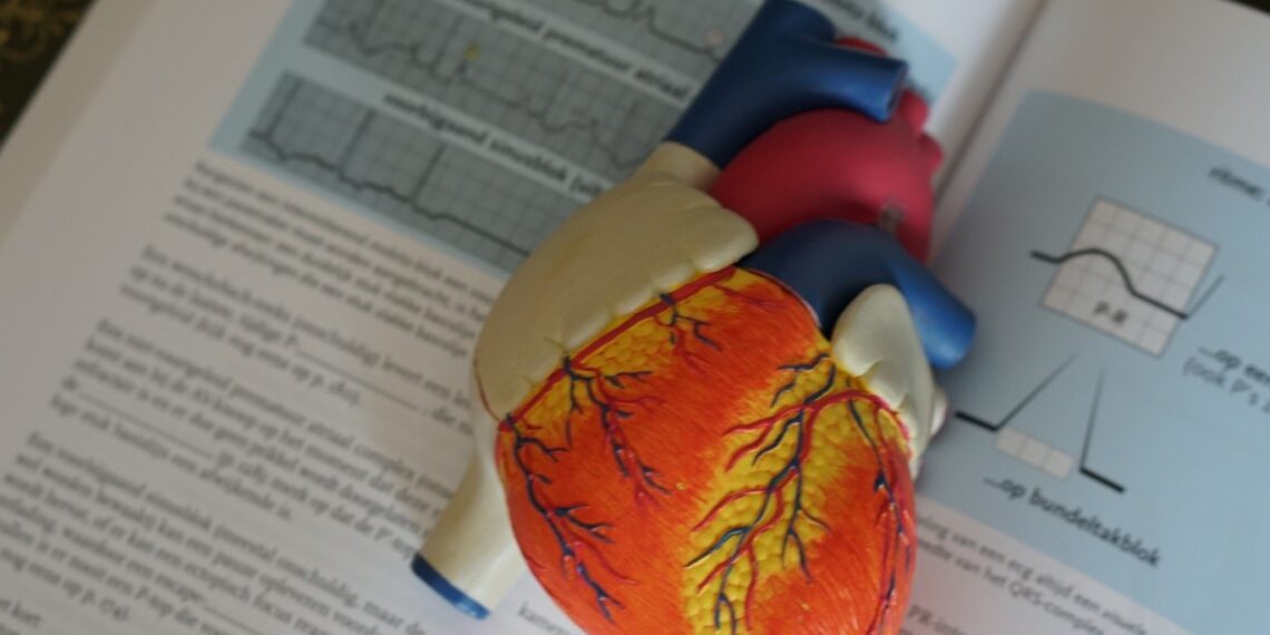 Τα συμπληρώματα διατροφής συμβάλλουν στη διατήρηση μιας πιο υγιούς καρδιάς