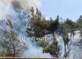 Θεσσαλονίκη: Συναγερμός στην πυροσβεστική – Φωτιά στο Σέιχ Σου