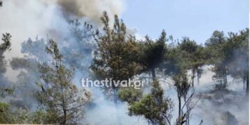 Θεσσαλονίκη: Συναγερμός στην πυροσβεστική – Φωτιά στο Σέιχ Σου