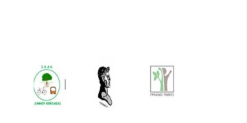 Με επιτυχία διεξήχθη η 2η Θεματική Διαβούλευση για το Σχέδιο Βιώσιμης Αστικής Κινητικότητας του Δήμου Εορδαίας (Δελτίο Τύπου)