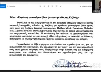 Δήμος Κοζάνης: «Δεν έχουμε αρμοδιότητα για τα μινκ»- Βασιλακόπουλος: «Επιτέλους η Περιφέρεια να αναλάβει την ευθύνη της»