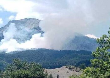 Νέα πυρκαγιά στον Γράμμο – Δήμος Νεστορίου: «Σοβαρές καταγγελίες εμπρησμού»