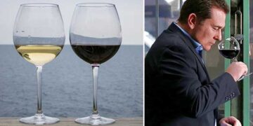 Πάνω από 500 κρασιά ΠΟΠ και ΠΓΕ στη Βόρεια Ελλάδα – Τι λέει ο Άγγελος Ιατρίδης του Κτήματος ΑΛΦΑ – Τα ξεχωριστά κρασιά της περιοχής Φλώρινας-Αμυνταίου