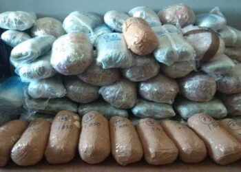 Εντοπίστηκαν στο Επταχώρι Καστοριάς να μεταφέρουν σε αυτοκίνητο 76,5 κιλά κάνναβης