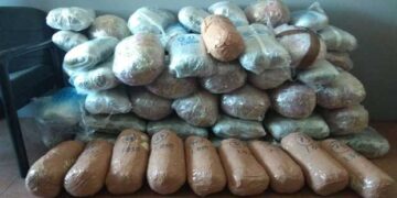 Εντοπίστηκαν στο Επταχώρι Καστοριάς να μεταφέρουν σε αυτοκίνητο 76,5 κιλά κάνναβης